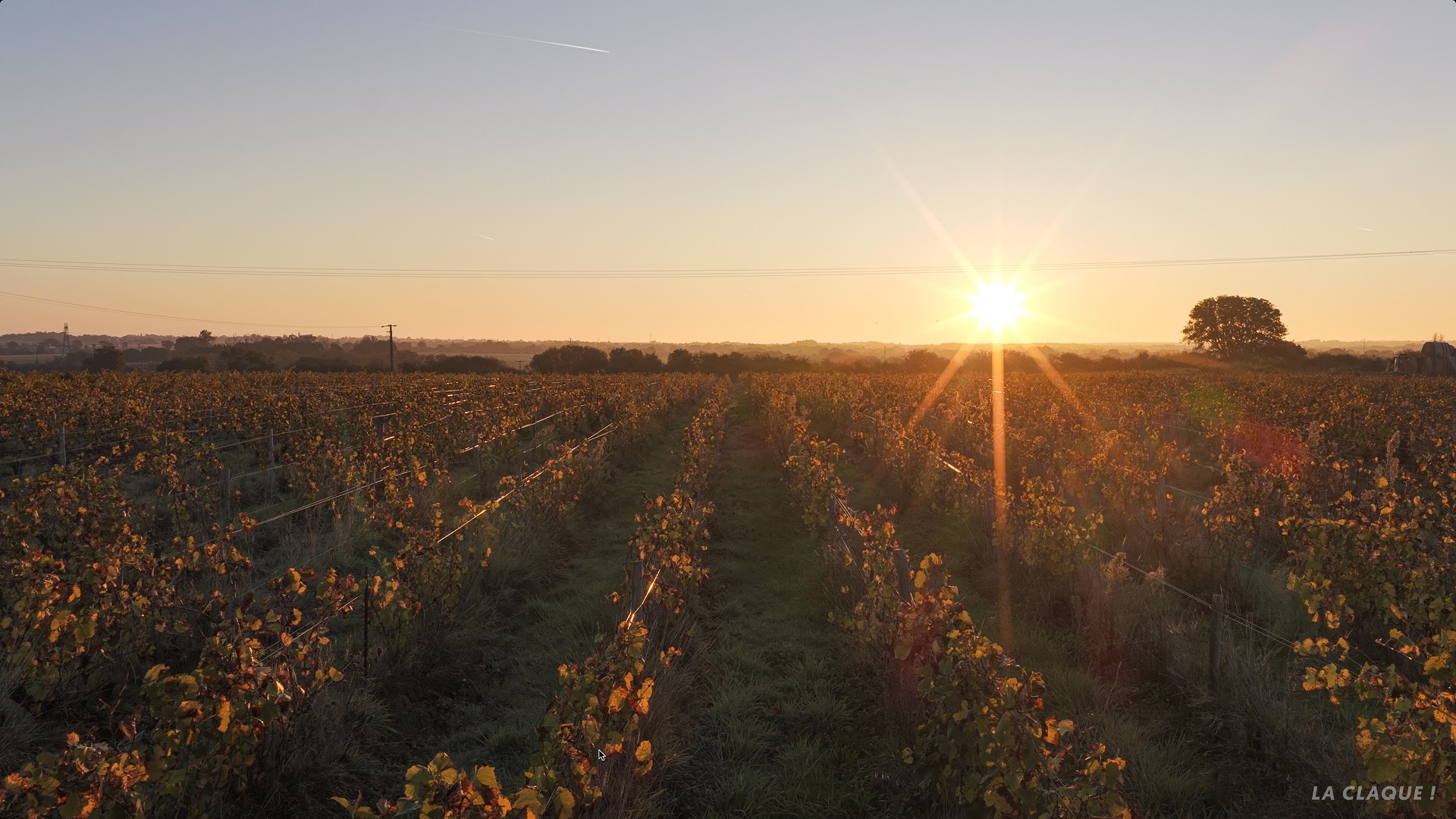 Vendesia Vignobles LaClaque 05