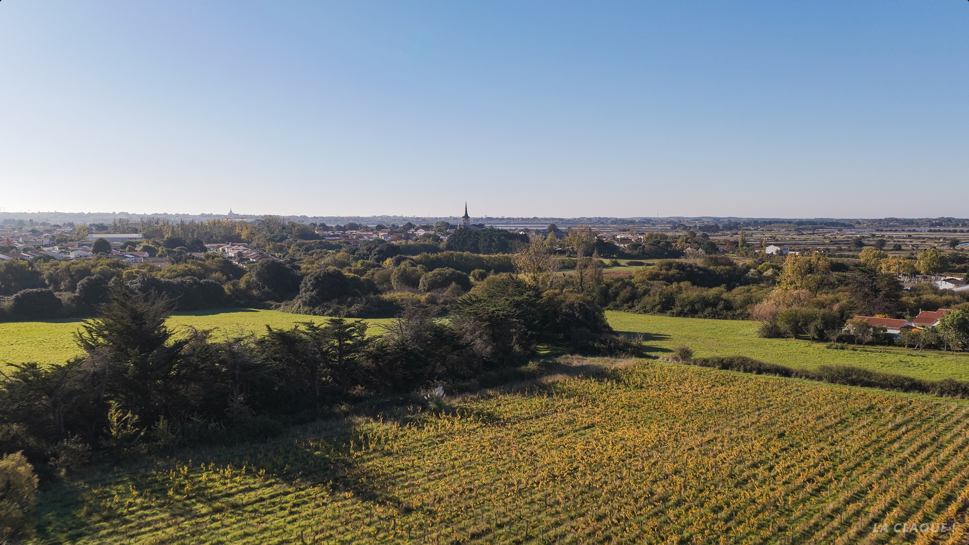 Vendesia Vignobles LaClaque 11