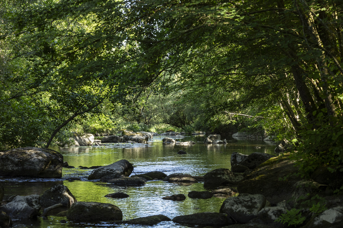 Le chaos de piquet vallee de lYon 2