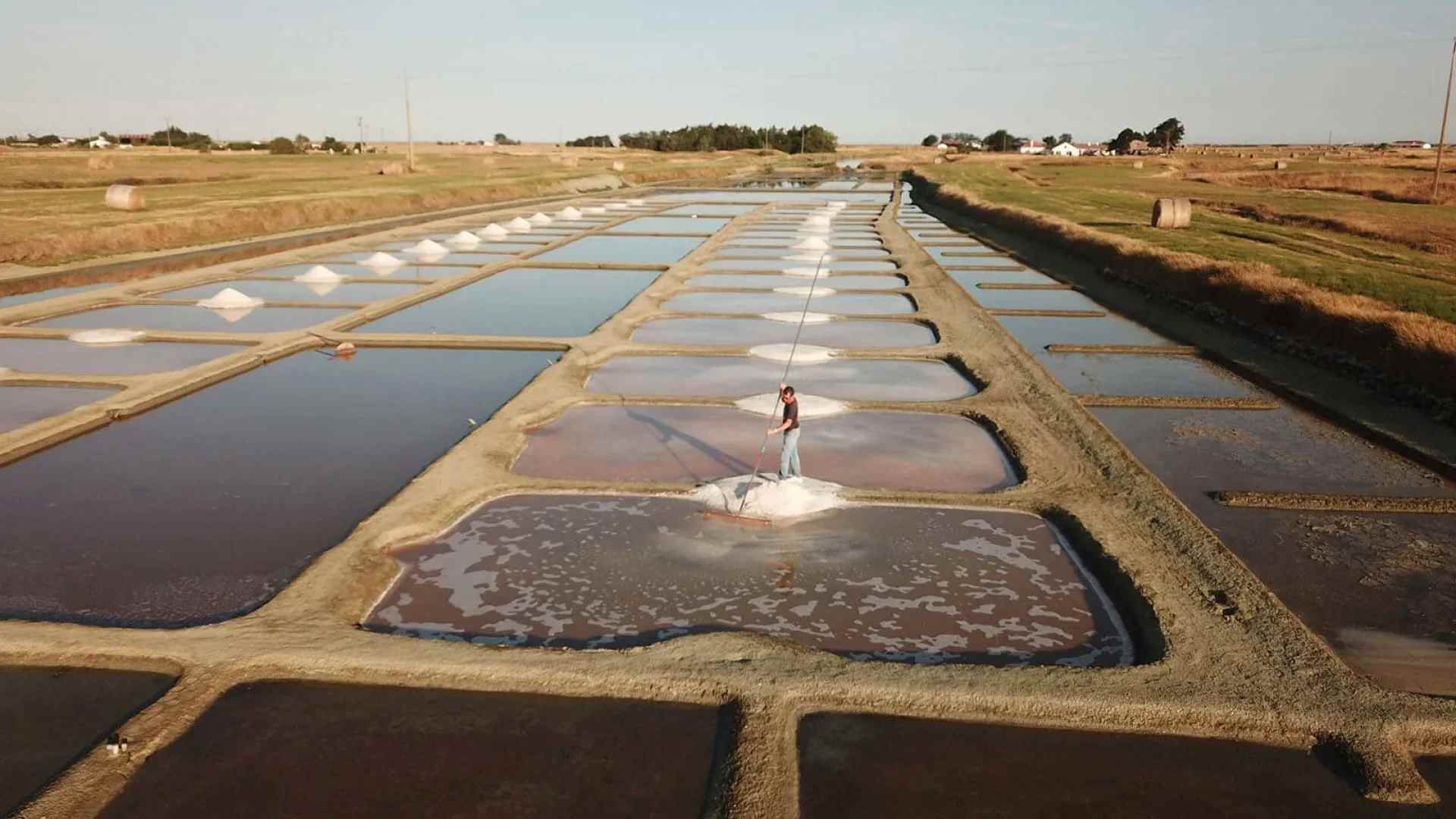 producteur sel marais salants vendee