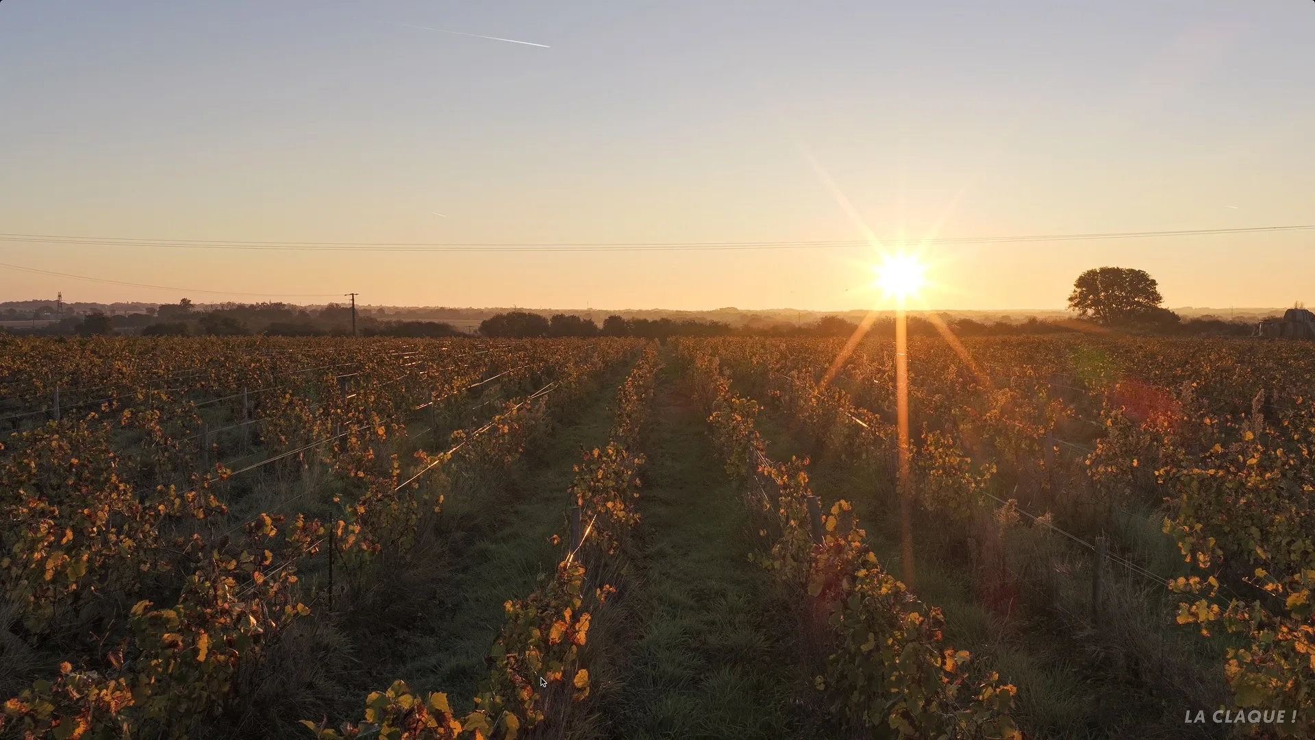 Vendesia Vignobles LaClaque 05 opt